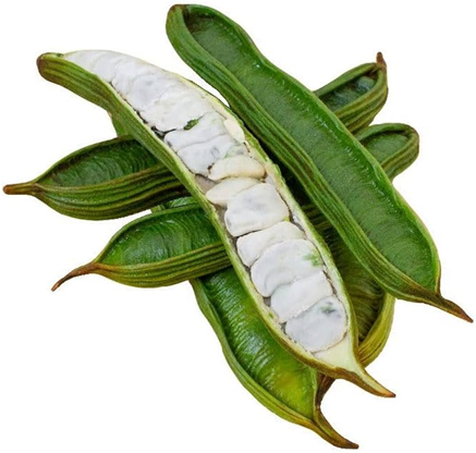 فاكهة الباكاي (Pacay)