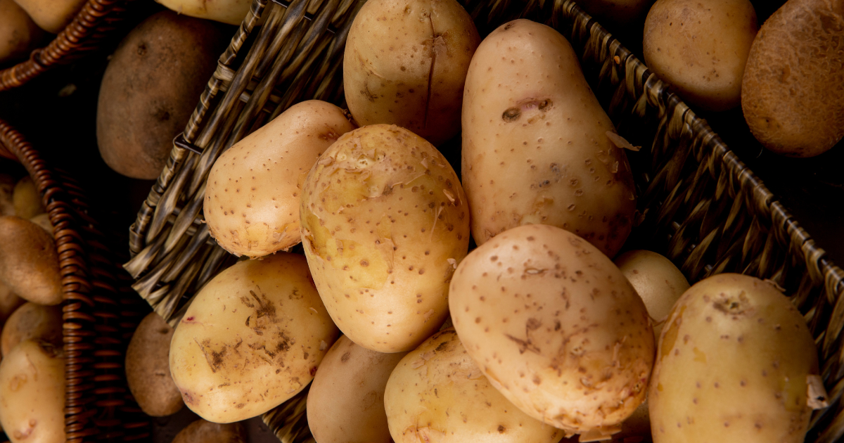pomme de terre en Tunisie