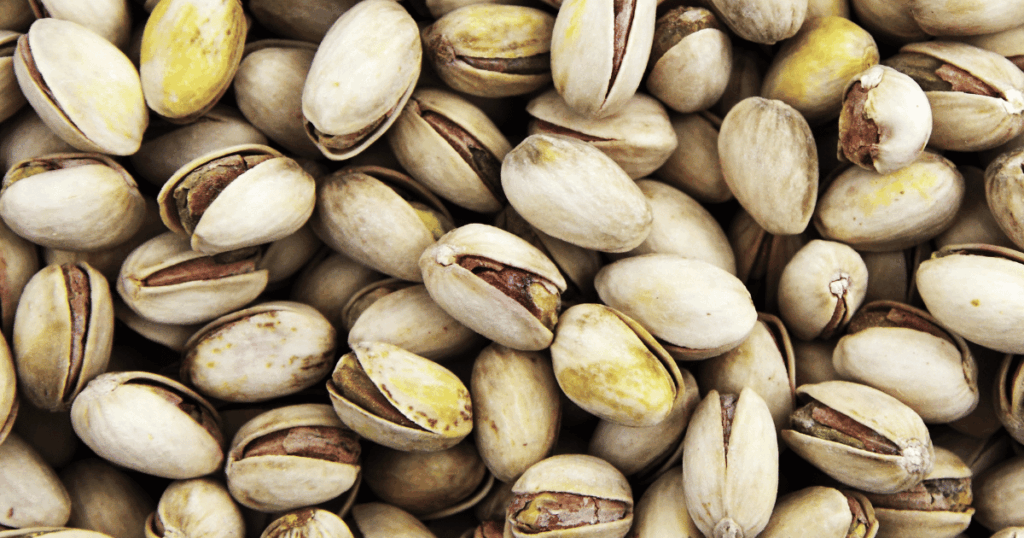 ارتفاع صابة الفستق
