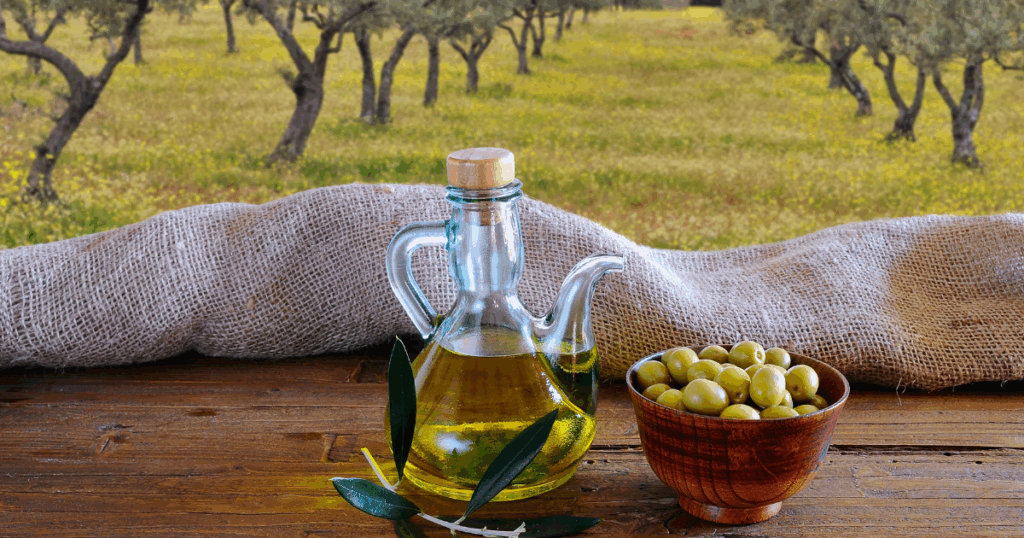 تراجع في عائدات تصدير زيت الزيتون