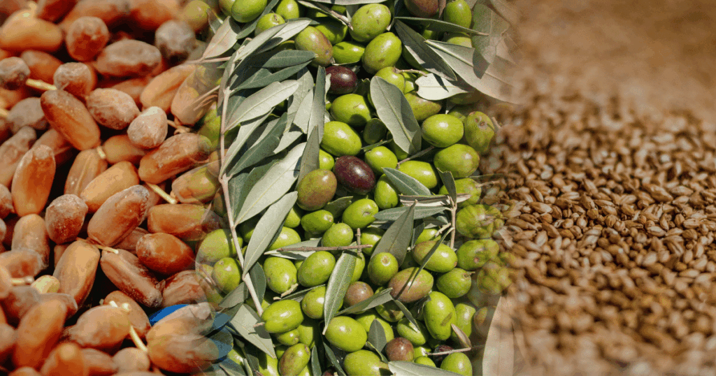 تمويل صغار الفلاّحين