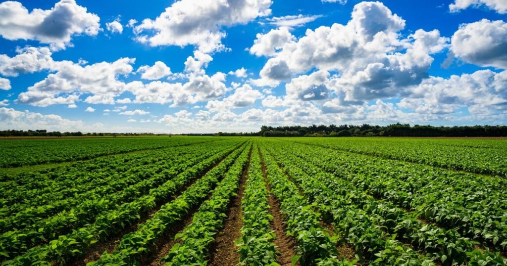 صالون الاستثمار والتنمية الزراعية
